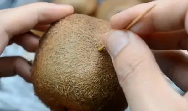 猕猴桃上插一根牙签太厉害了，吃了20多年才知道，学会受用
