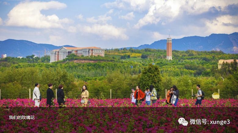 云南省3所实力最强的大学，外省考生报了就是捡漏，录取分超低