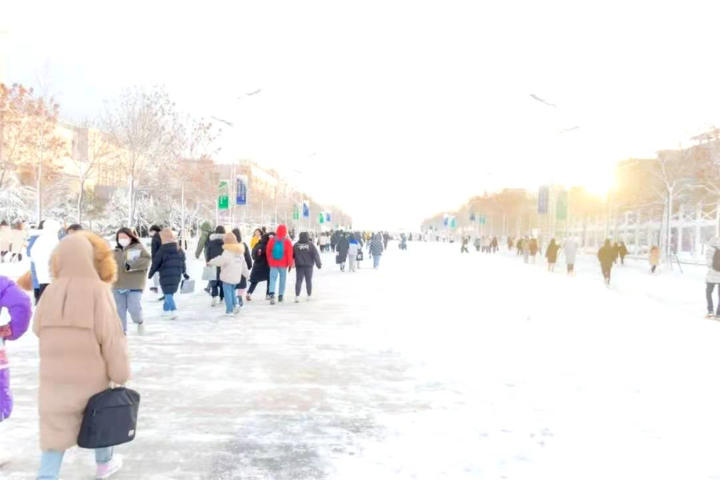 大雪后的山东商务职业学院，分外清澄明澈