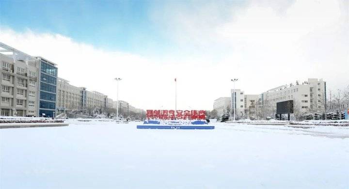 大雪后的山东商务职业学院，分外清澄明澈