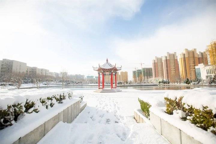 大雪后的山东商务职业学院，分外清澄明澈