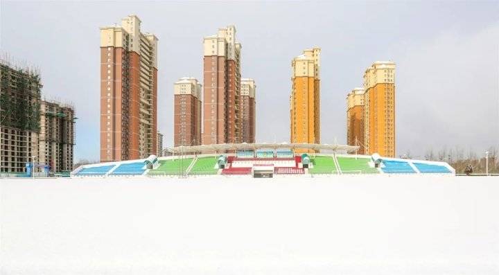 大雪后的山东商务职业学院，分外清澄明澈
