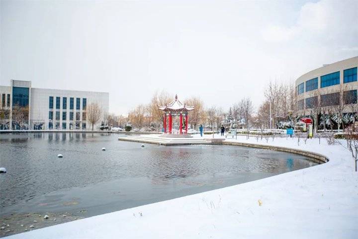 大雪后的山东商务职业学院，分外清澄明澈