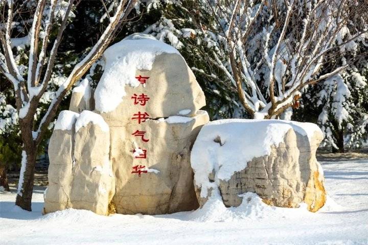大雪后的山东商务职业学院，分外清澄明澈