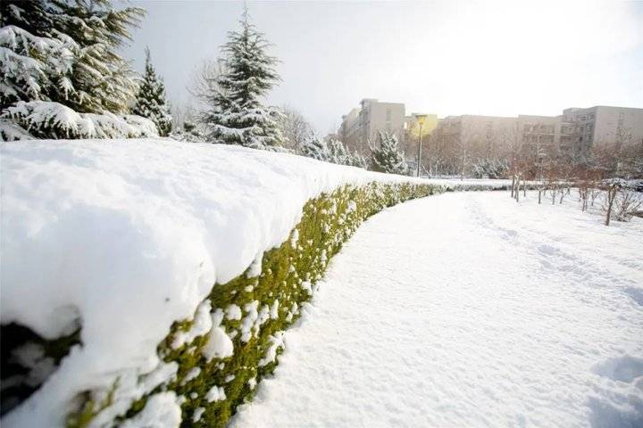 大雪后的山东商务职业学院，分外清澄明澈