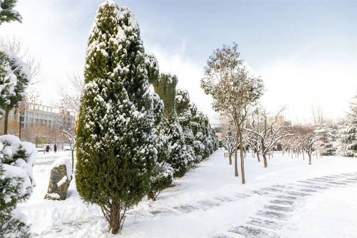 大雪后的山东商务职业学院，分外清澄明澈