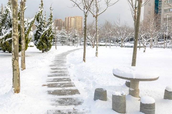 大雪后的山东商务职业学院，分外清澄明澈