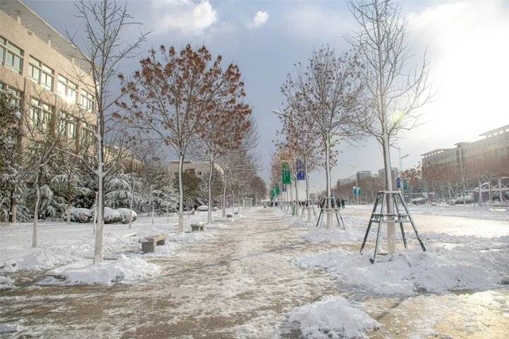 大雪后的山东商务职业学院，分外清澄明澈