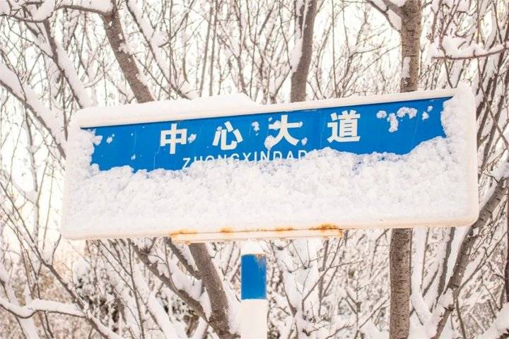 大雪后的山东商务职业学院，分外清澄明澈