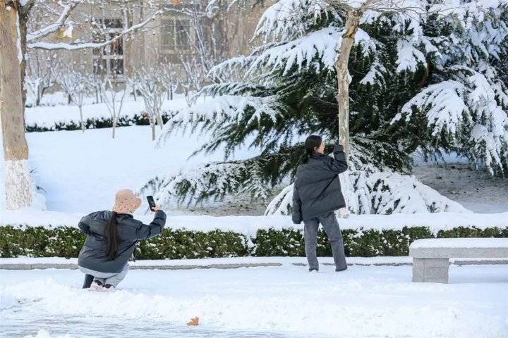 大雪后的山东商务职业学院，分外清澄明澈