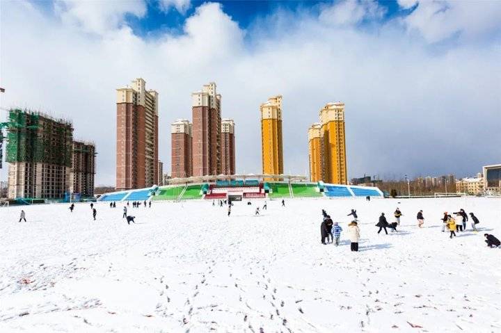 大雪后的山东商务职业学院，分外清澄明澈