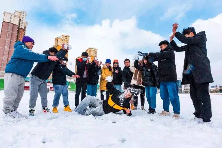 大雪后的山东商务职业学院，分外清澄明澈