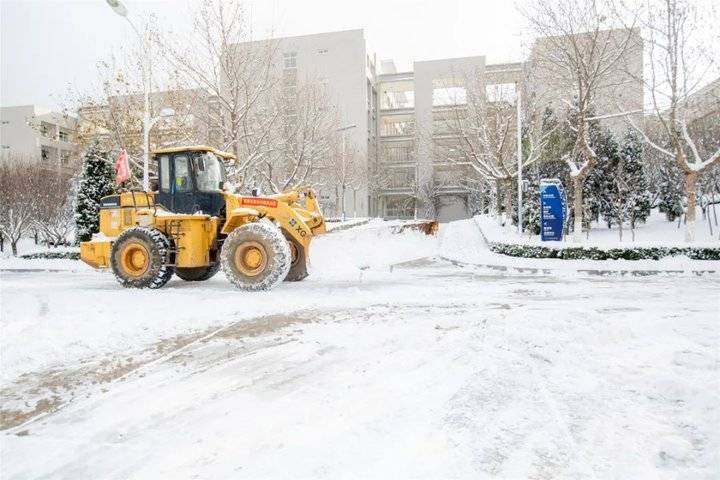 大雪后的山东商务职业学院，分外清澄明澈