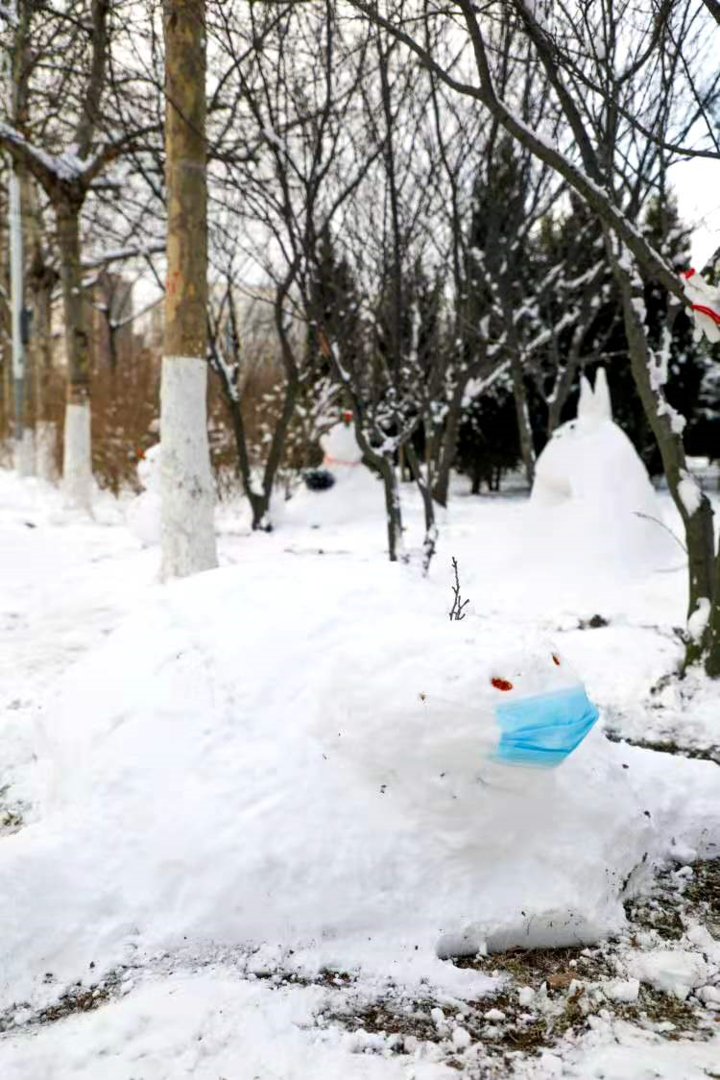大雪后的山东商务职业学院，分外清澄明澈