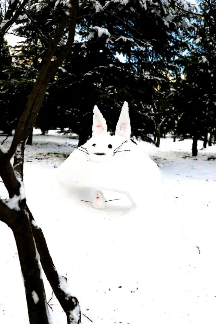 大雪后的山东商务职业学院，分外清澄明澈