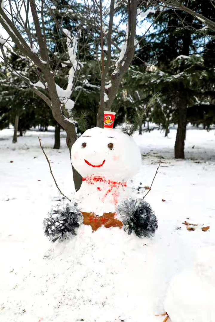 大雪后的山东商务职业学院，分外清澄明澈