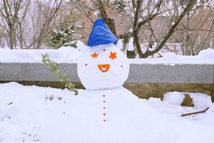 大雪后的山东商务职业学院，分外清澄明澈