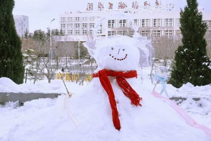 大雪后的山东商务职业学院，分外清澄明澈