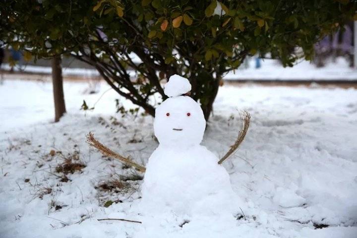 大雪后的山东商务职业学院，分外清澄明澈