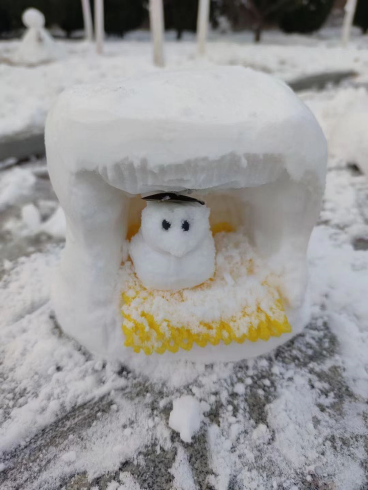 大雪后的山东商务职业学院，分外清澄明澈