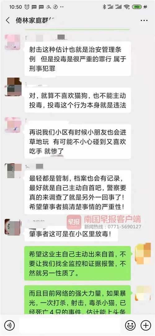 4天7只流浪猫离奇死亡！南宁一小区业主查看视频发现有人……