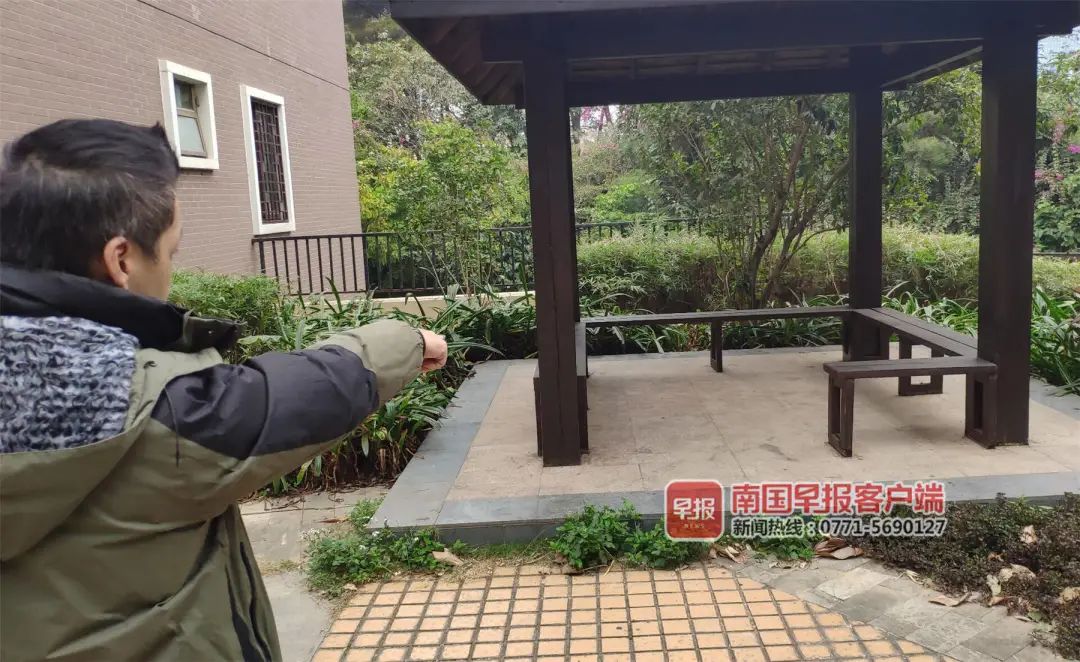 4天7只流浪猫离奇死亡！南宁一小区业主查看视频发现有人……