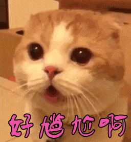 这些故障灯亮了，请立即靠边停车