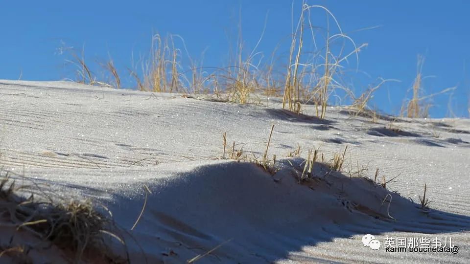 撒哈拉沙漠又下雪了！一缕白雪一缕黄沙，看着有点像童年的奶糖…？