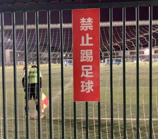 男的接吻为什么总要摸胸啊？（穹妹兔女郎紫色皮肤）