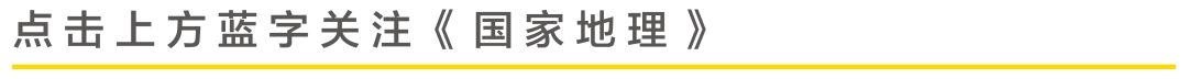 立秋 | 夕风微报响，古木暗藏秋