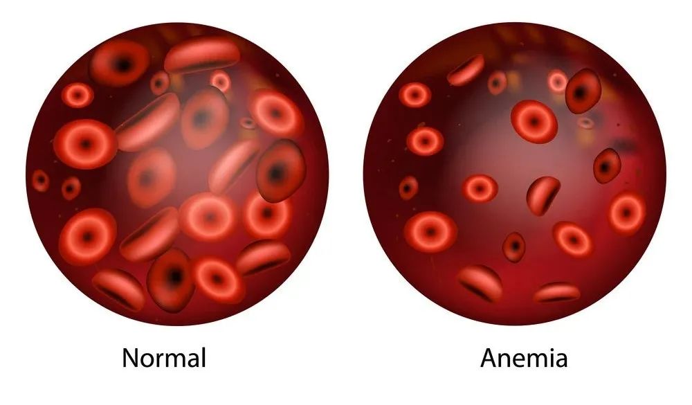 拜拜老朋友，“冻疮”再不再见