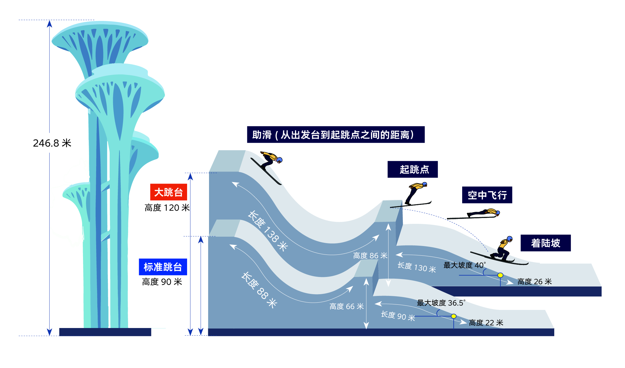 为什么世界杯的场地可以滑(图解北京冬奥项目⑪|“跳台滑雪”——高台跃下，凌空旋转)