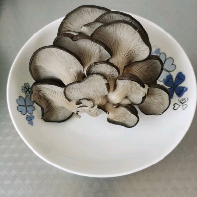 炸蘑菇的做法（教你做吃完渣都不剩的炸蘑菇）