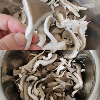 炸蘑菇的做法（教你做吃完渣都不剩的炸蘑菇）