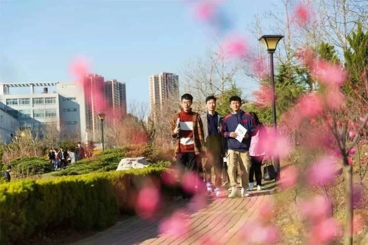 2021年山东单招综招招生章程发布！山东商务职业学院等你来