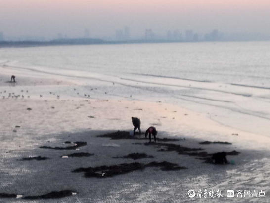 夕阳染红了烟台的海边，余晖布满海面惊艳游人