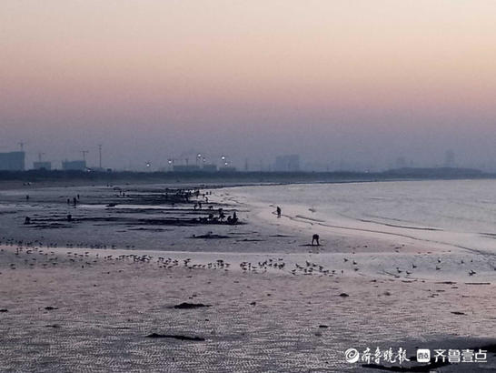 夕阳染红了烟台的海边，余晖布满海面惊艳游人