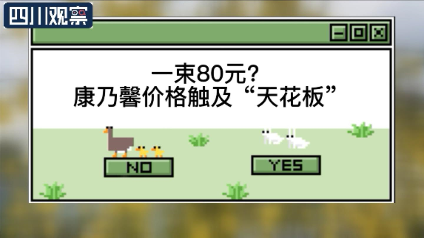 康乃馨多少錢一束,12朵康乃馨多少錢一束