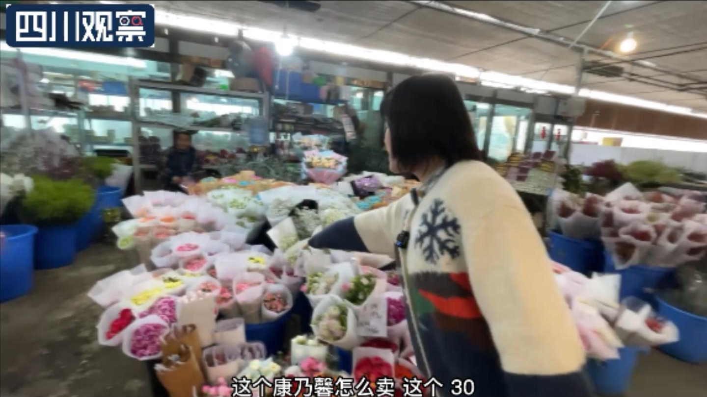 康乃馨多少錢一束,12朵康乃馨多少錢一束