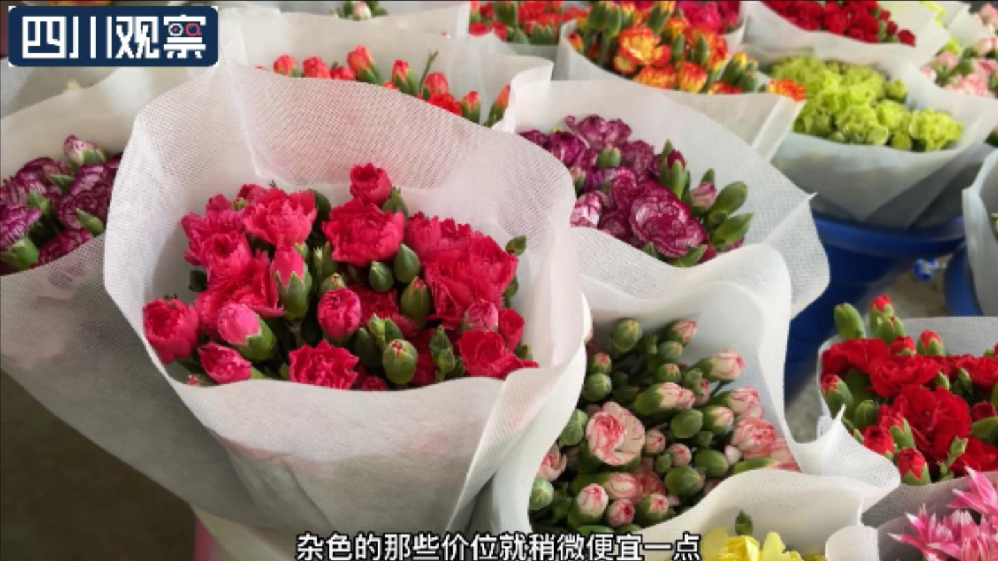 康乃馨多少錢一束,12朵康乃馨多少錢一束