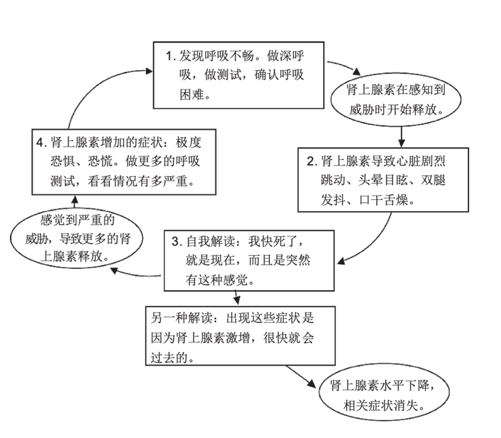 如果可以这样死去，死亡也许没那么可怕