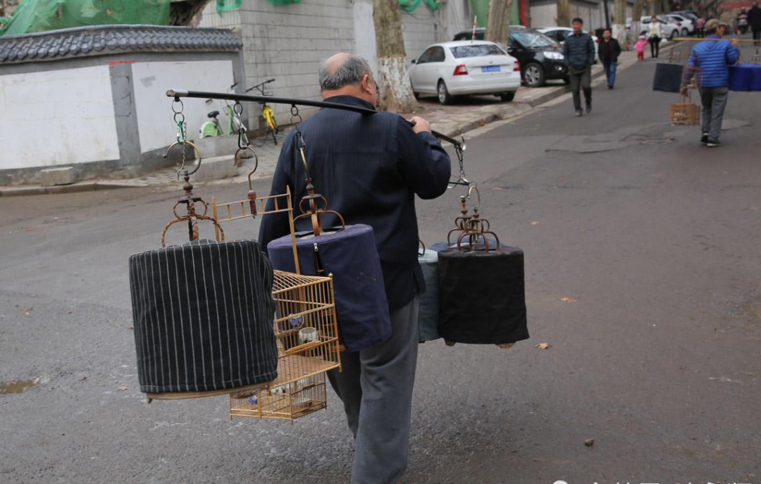 都有无数苦行僧般挑担蹬车的老北京准时遛鸟:早在清朝开始,就是"贝勒
