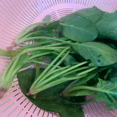 焙煎芝麻酱的做法（5步快速做出焙煎芝麻菠菜沙拉）