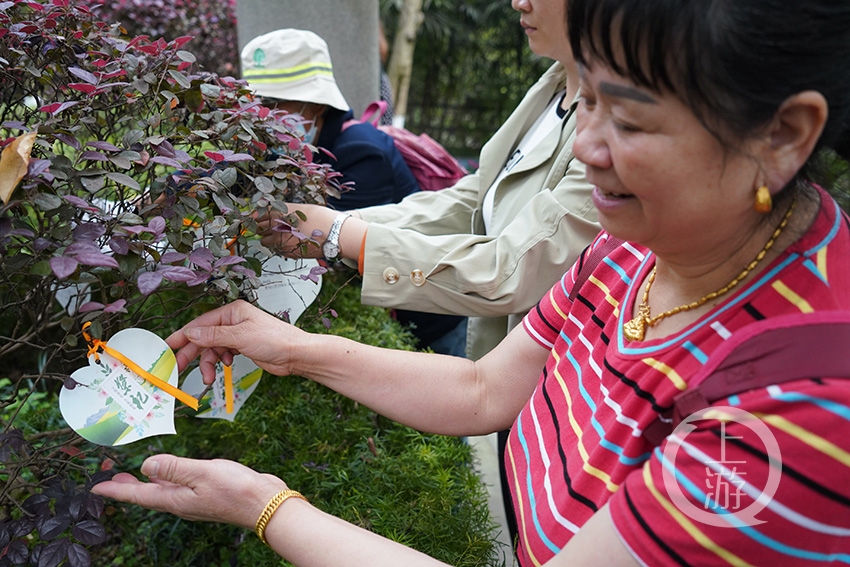 鲜花献逝者花葬、树葬等生态安葬方式获市民点赞