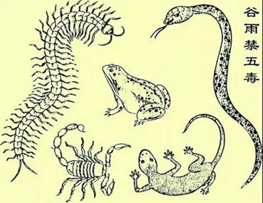 4月有什么节日（四月传统节日有哪些）