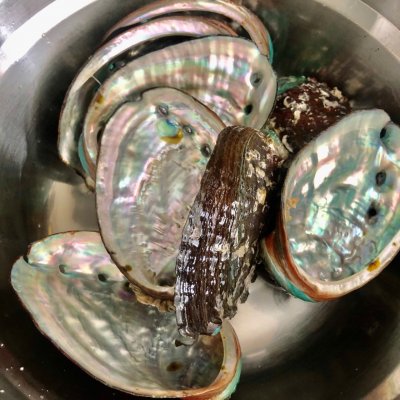 鮑魚做法,鮑魚做法大全家常視頻