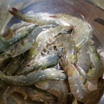 油爆大蝦,油爆大蝦的做法