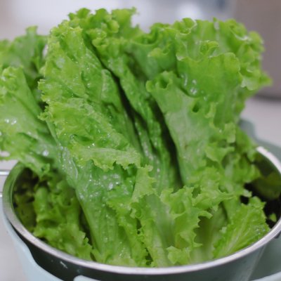 墨西哥雞肉卷的做法,