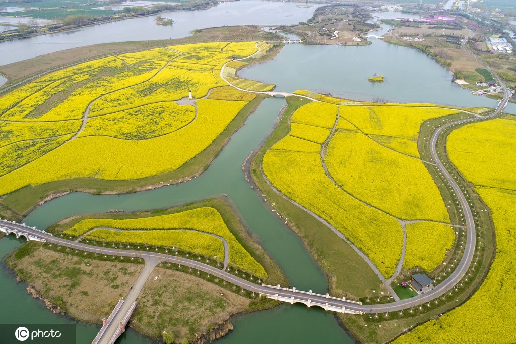 丁香花几月开,丁香花几月开放