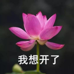 "谢谢关心,我想开了"又会诏告天下:过了一会"我自闭了"动不动就在朋友